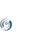 Synigent Technologies