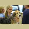 Oakley Square Animal Hospital