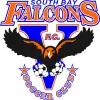 South Bay Falcons FC
