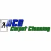 ACE Carpet Cleaning