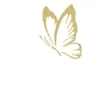 Aesthetics Med Spa
