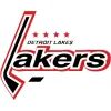 Detroit Lakes Youth Hockey
