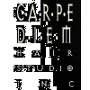 Carpe Diem Hair Studio
