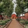 Crooked Willow Farms
