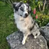 Cardigan Veterinary Clinic