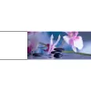 Pasadena Acupuncture & Foot Reflexology