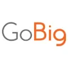 GoBig Branding
