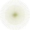 Aurum Acupuncture