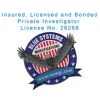 Blue Systems International
