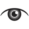 InSight Optics