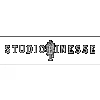 Studio Finesse