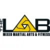 The MMA Lab