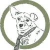 Brookhollow Vet Clinic