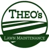 Theo's Lawn Maintenance