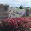 Enchanted Pines