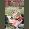 Respectful Caregiving