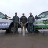 Greenworks Landscaping & Fencing