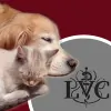 Lakemont Veterinary Clinic