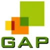 GAP Consulting