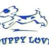 PuppyLove Pet Sitters