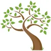 HOPE Program