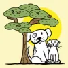 Woodland Animal Clinic