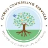 Christian Counseling Service