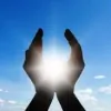 Tree of Life Acupuncture & Wellness