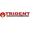 Trident Environmental Group