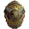 All American Security Services
