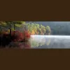 Burlington Psychological Associates