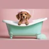 Canine Couture