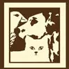 College Village Animal Clinic