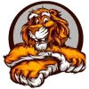 Junk Tigers Hauling & Demolition