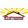 Professional Roofing