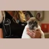 Alachua Animal Hospital