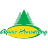 Alpine Remodeling