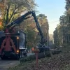 MBI Tree Service