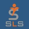 Strategic Labor Solutions