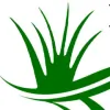 Pearce Scapes