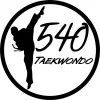 540 Taekwondo