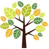 Yemaya Wellness