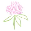 Red Clover Wellness