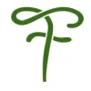 St. Pete Foodies