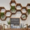 True Serenity Skincare