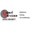 Expert Services