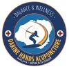 Dakine Hands Acupuncture