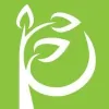 Pedrozzi Foundation