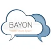 Bayon IT