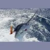 Apex Charters